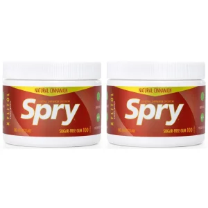 Spry Xylitol Chewing Gum Cinnamon — 2 × 100-Count Tins, Sugar-Free & Portable